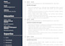 write an executive resume, edit your CV, and a cover letter